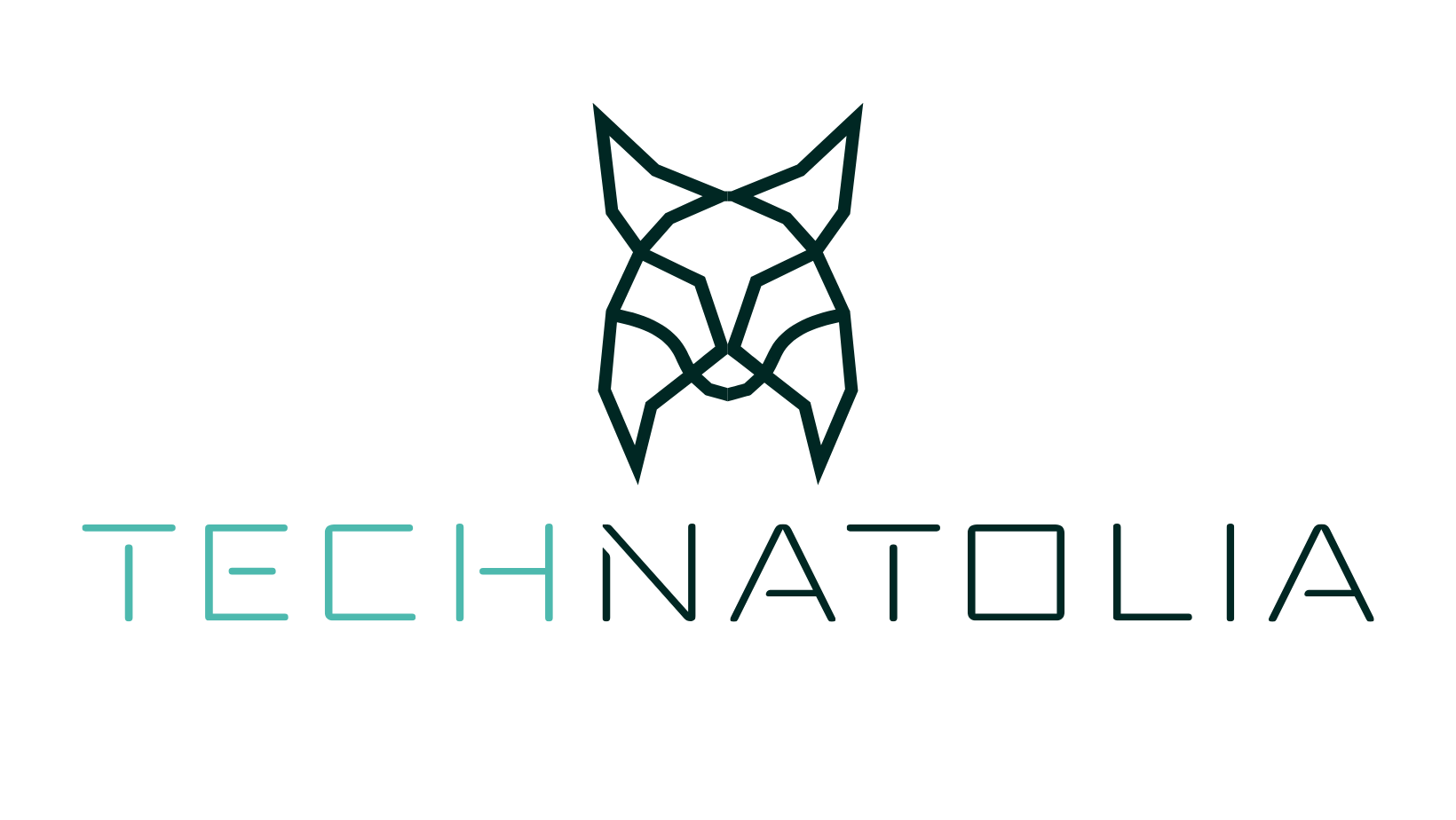 TECHNATOLIA Siber Güvenlik ve Yazılım A.Ş.